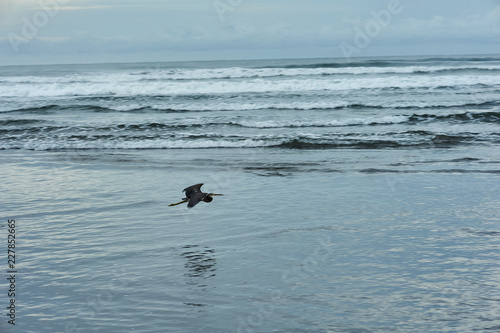El Cuco Black Sand Beach, El Salvador © Judd Irish Bradley