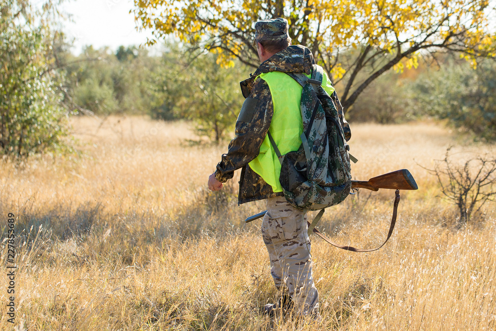 Hunters with a german drathaar and spaniel, pigeon hunting with dogs in reflective vests Hunters with a german drathaar and spaniel, pigeon hunting with dogs in reflective vests