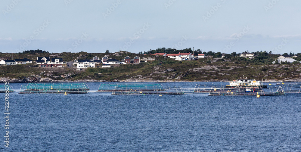 Fishing nets at sea near a small village close to Bergen, Norway Fishing nets at sea near a small village close to Bergen, Norway
