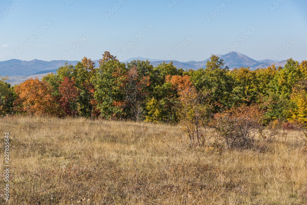 Autumn landscape of Cherna Gora (Monte Negro) mountain, Pernik Region, Bulgaria Autumn landscape of Cherna Gora (Monte Negro) mountain, Pernik Region, Bulgaria