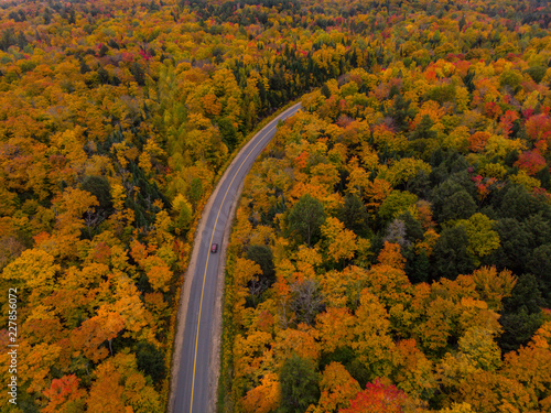 Muskoka Road Fall Colours