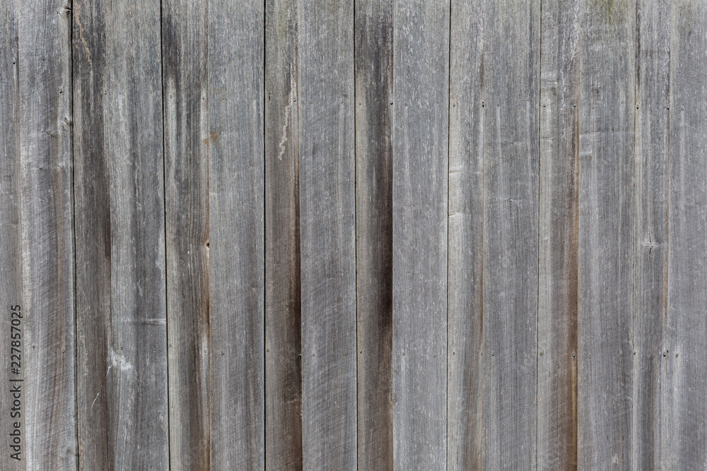 Obraz premium close up of wooden fence palings 