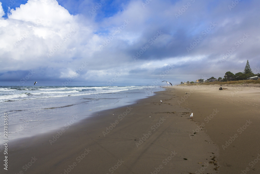 Landscape Scenery of Papamoa Beach, New Zealand