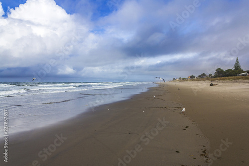 Landscape Scenery of Papamoa Beach, New Zealand photo