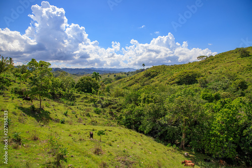 View to the jungle in the mountains of Puerto Plata, Dominican Republic.