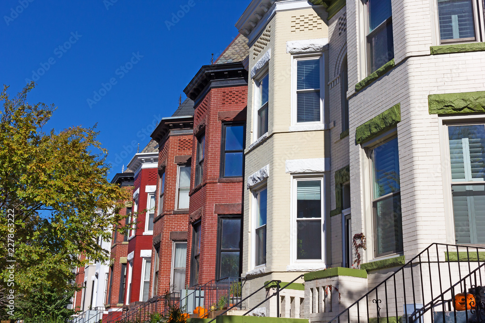 Naklejka premium Urban residential architecture of US capital with fall decorations. Historic row houses in Colombia Heights neighborhood of Washington DC, USA