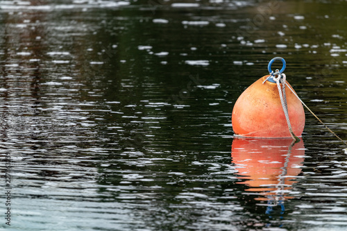 buoy in the water reflecting