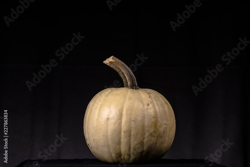 Pumpkin Fall Halloween