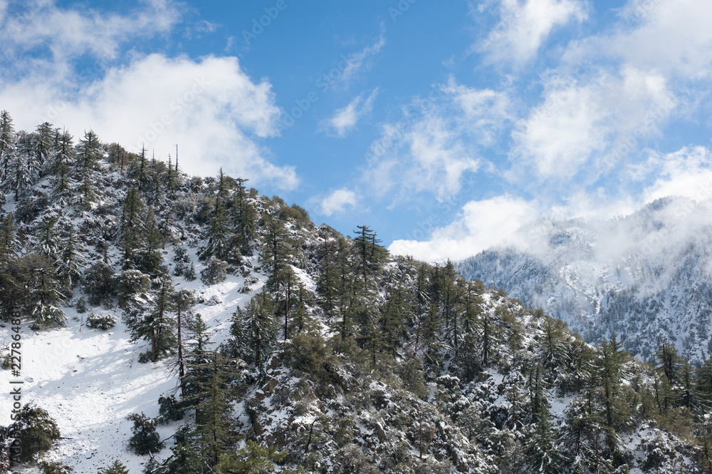 Baldy Mountain - Winter