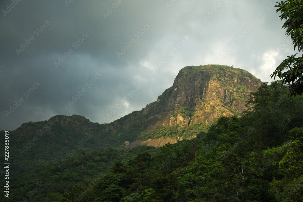 landscape with Rain Forest, mountains and clouds