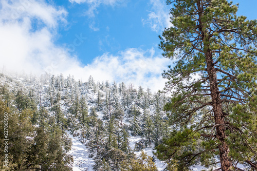 Baldy Mountain - Winter