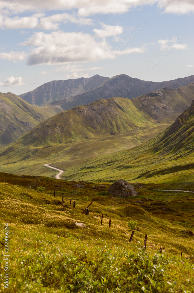Hatcher Pass Road to Natural Bliss Portrait