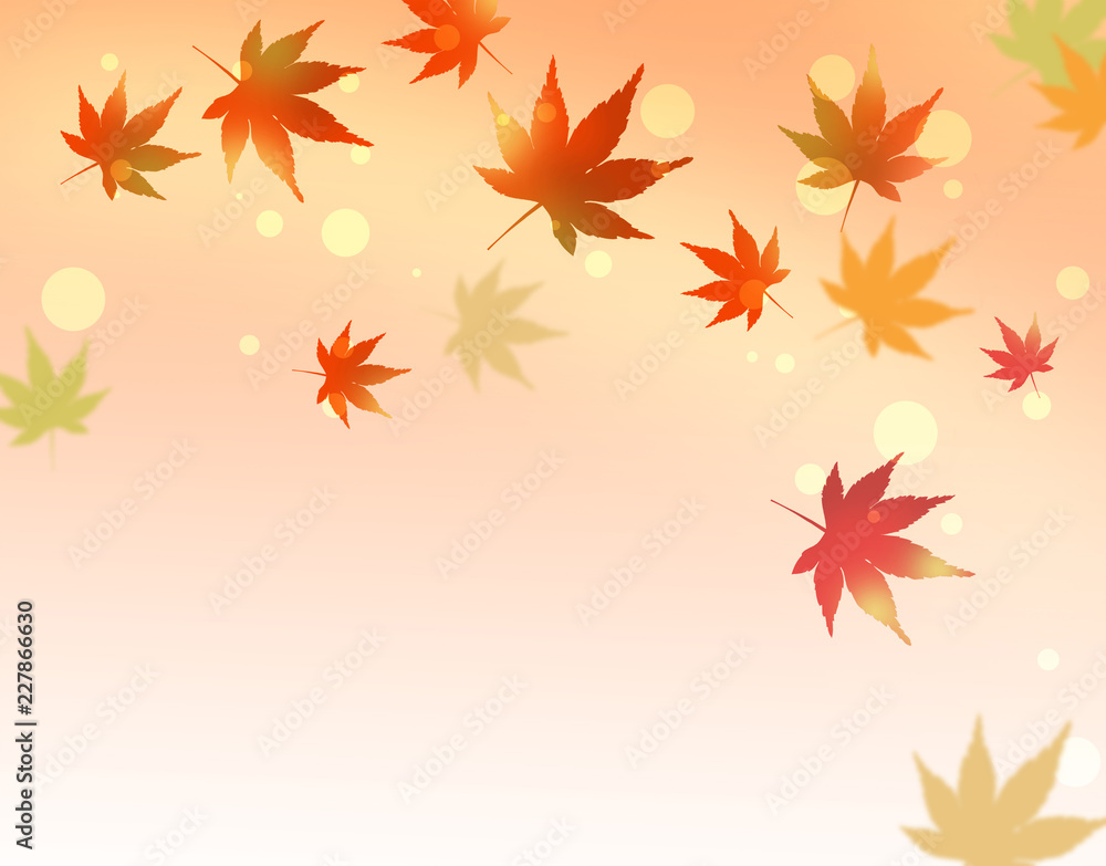 紅葉　楓　秋　もみじ　紅葉狩り　落ち葉