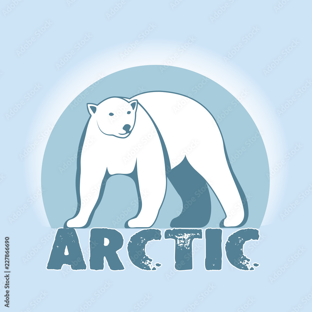 Fototapeta premium Polar bear symbol of the Arctic.