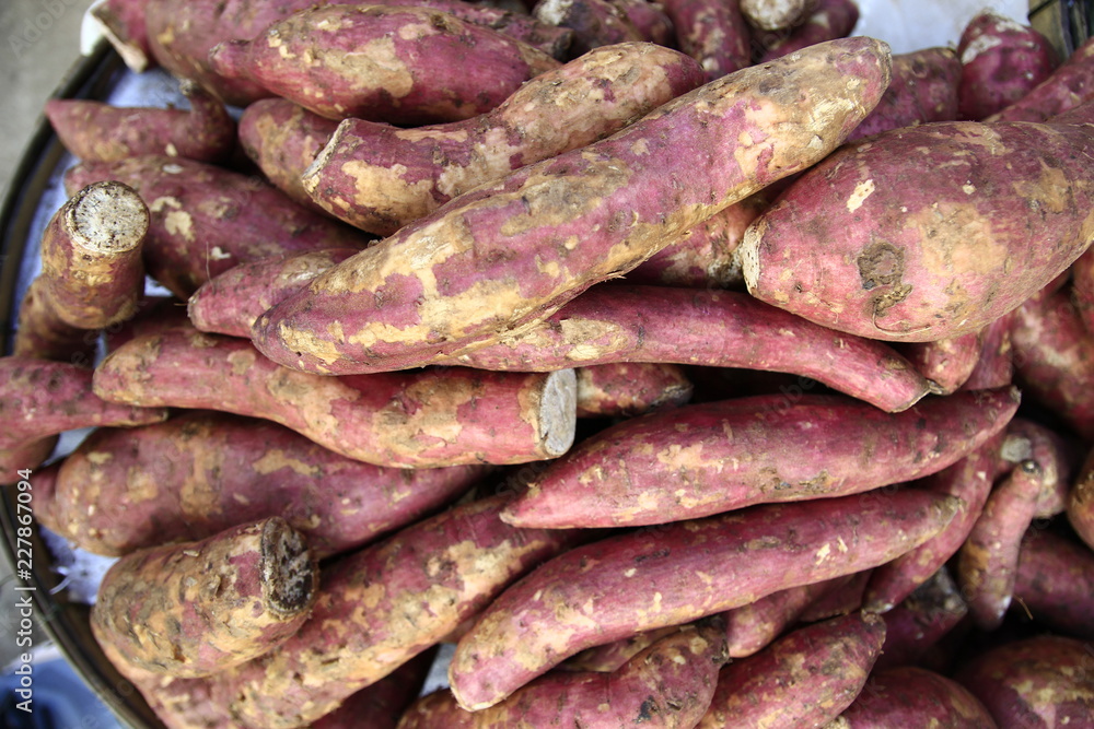 Sweet Potato sale in morning market laos Sweet Potato sale in morning market laos