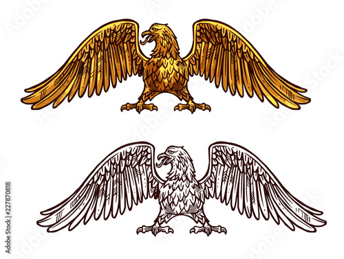 Eagle or hawk golden icon, vector sketch