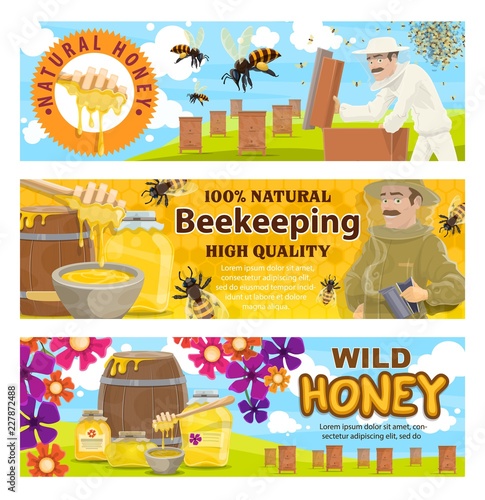Beekeeping and wild honey on apiary