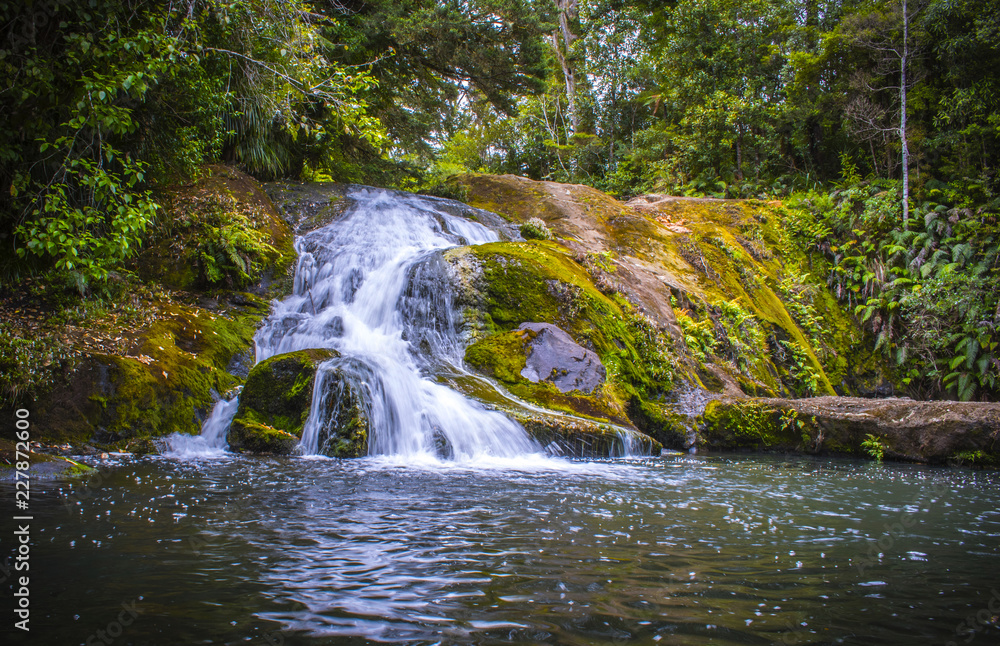 Obraz premium Nihotupu Waterfalls, Piha Auckland New Zealand; Step 1 Falls