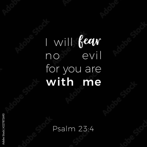 Biblical phrase from psalm, i will fear no evil