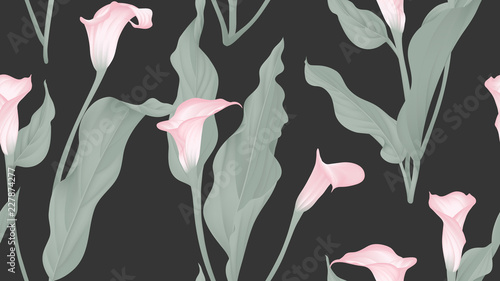 Fototapeta Naklejka Na Ścianę i Meble -  Floral seamless pattern, pink calla lily flowers and leaves on black background, pastel vintage theme