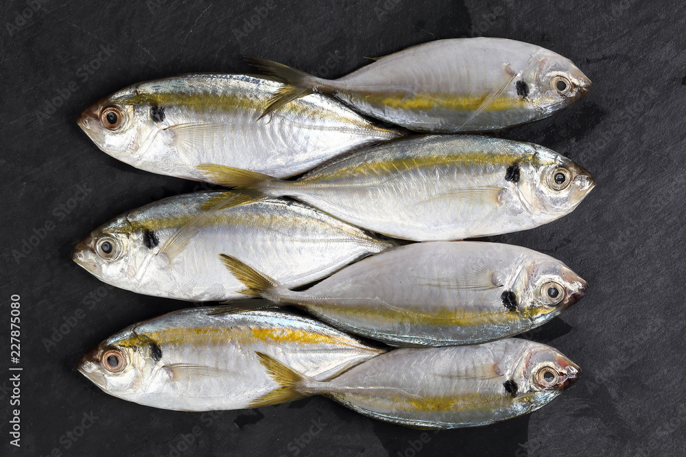 Raw fresh small yellow striped tervally banded slender fish Raw fresh small yellow striped tervally banded slender fish