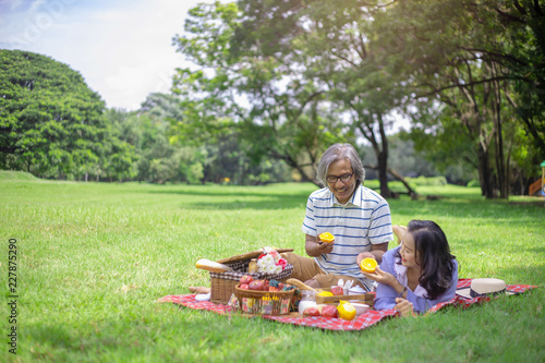 Senior asia couple have picnic togerther with happiness and wellbeing life in the park, maintaining the health and mind of elderly family in retirement concept. © Uraiwon