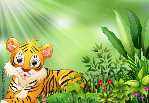 Fototapeta Naklejka Na Ścianę i Meble -  Nature scene with tiger cartoon