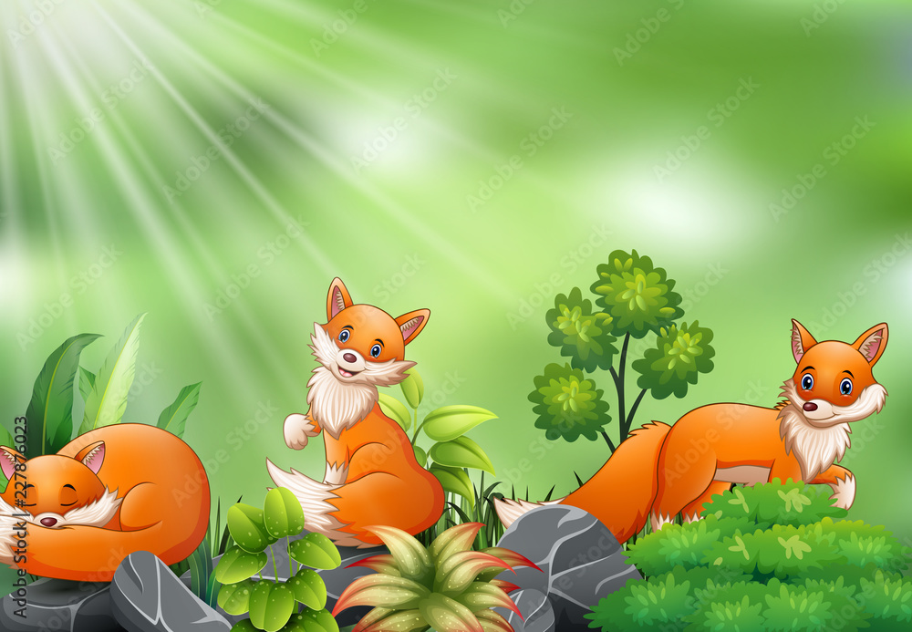 Fototapeta premium Nature scene with group of fox cartoon