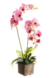 Floral arrangement from artificial orchid flowers in old ceramic flower pot.