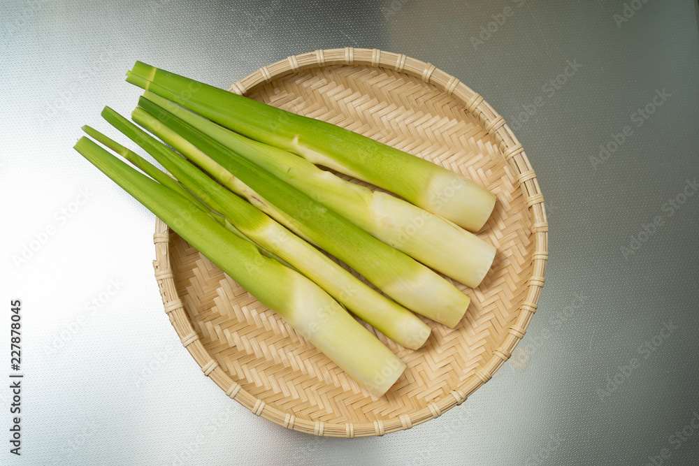 マコモダケ Zizania latifolia ,Asian vegetable マコモダケ Zizania latifolia ,Asian vegetable