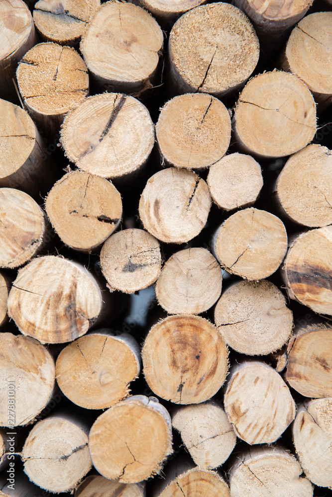 Close up of stack spilled cutting dry wood logs textured background, side view. Close up of stack spilled cutting dry wood logs textured background, side view.
