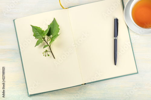 An open journal with a branch with green leaves, a pen, and a cup of tea, shot from above on a light background with copyspace