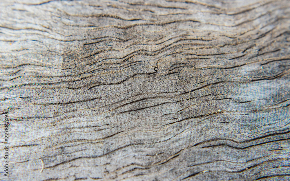Dark wood texture. Abstract background