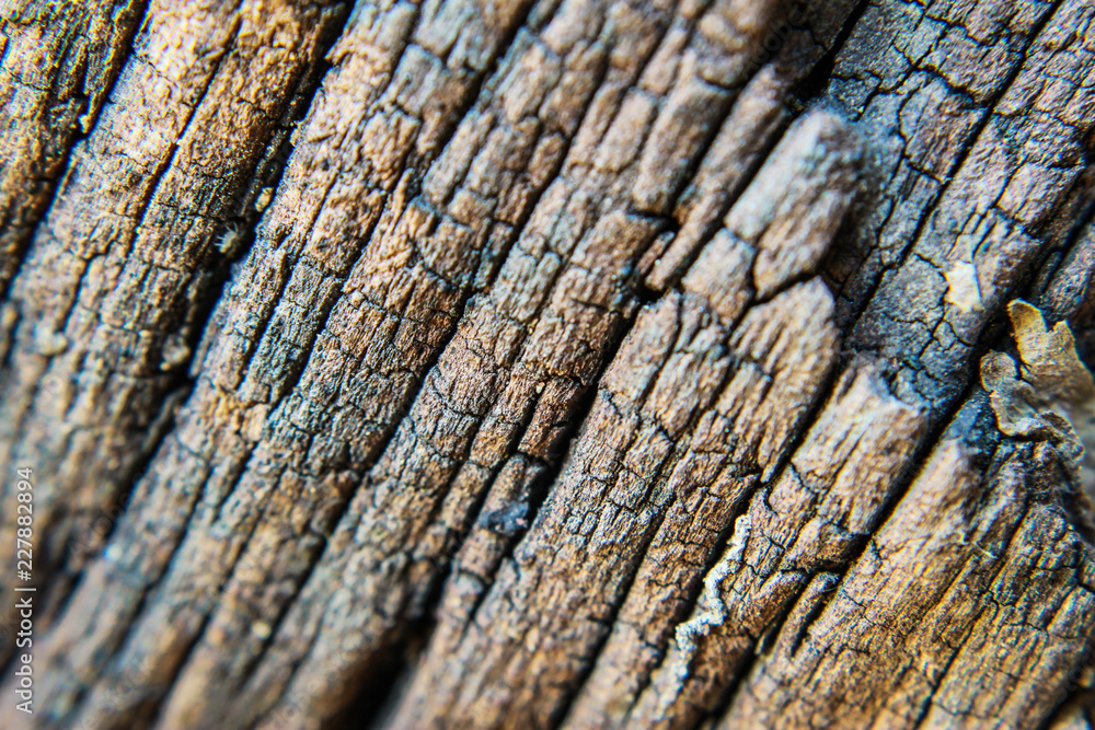 Dark wood texture. Abstract background