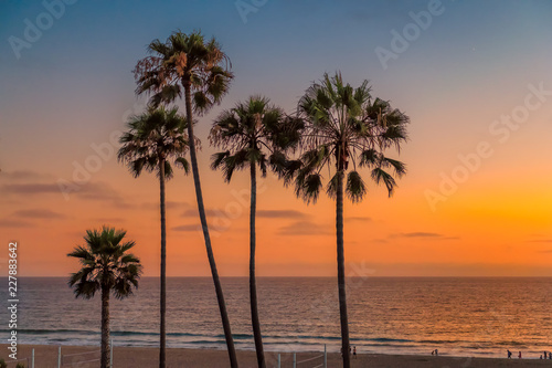 Palm trees on Manhattan Beach at sunset in California, Los Angeles, USA. Vintage processed. 