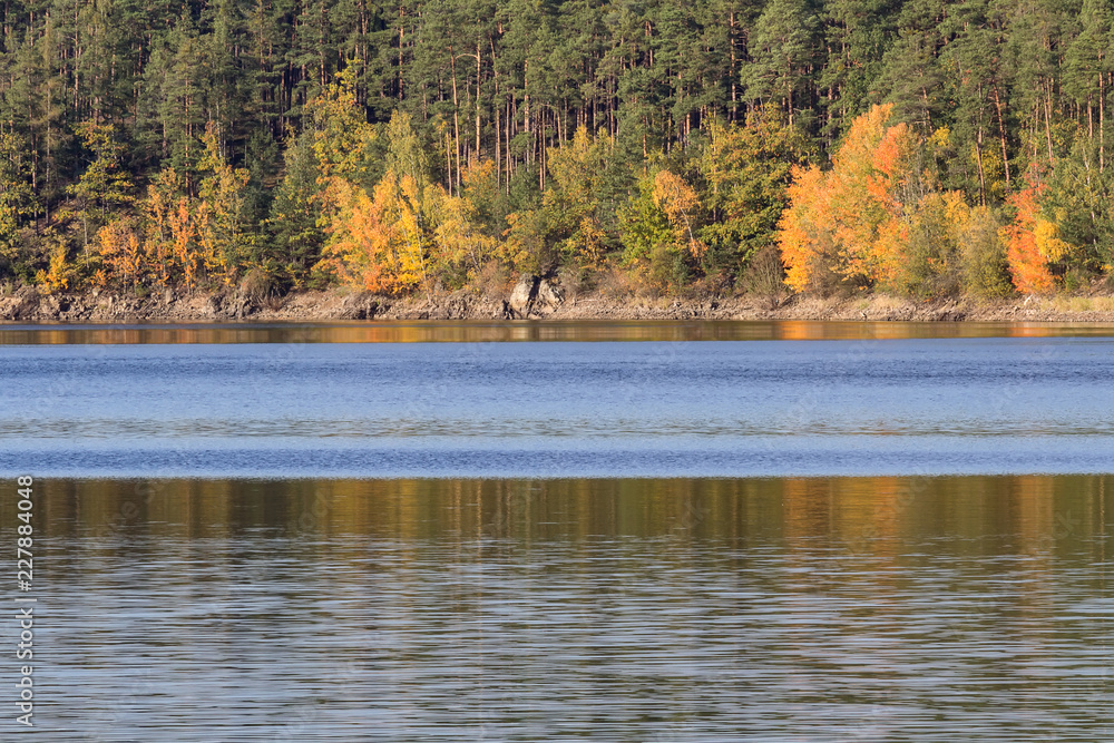 Detail of autumn colorful trees with water, Czech landscape Detail of autumn colorful trees with water, Czech landscape
