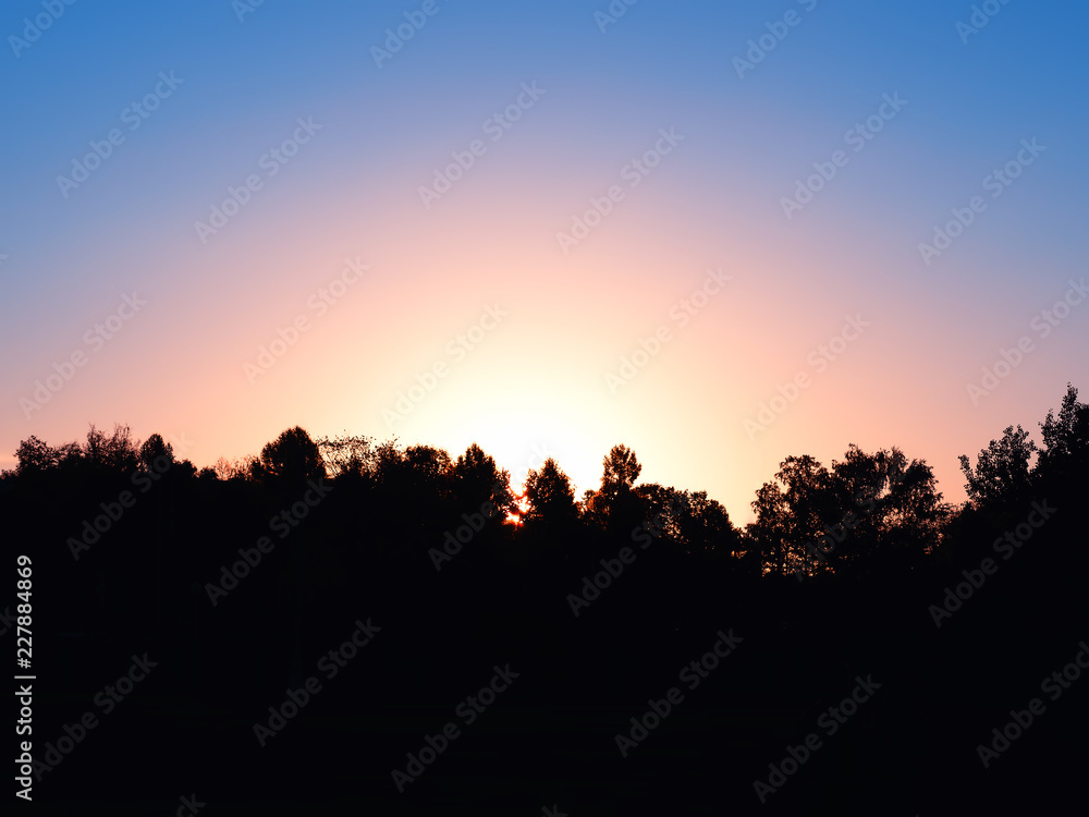 Horizontal silhouette of sunset forest landscape background