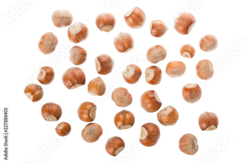 Fresh organic hazelnuts collection isolated on white background. Top view
