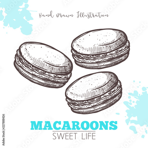 Sketch Of Sweet Macaroons. Dessert Bakery In Hand Drawn Vector Style