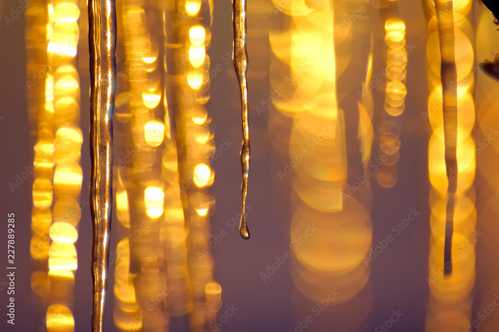 Icicles illuminated by the arctic setting sun.