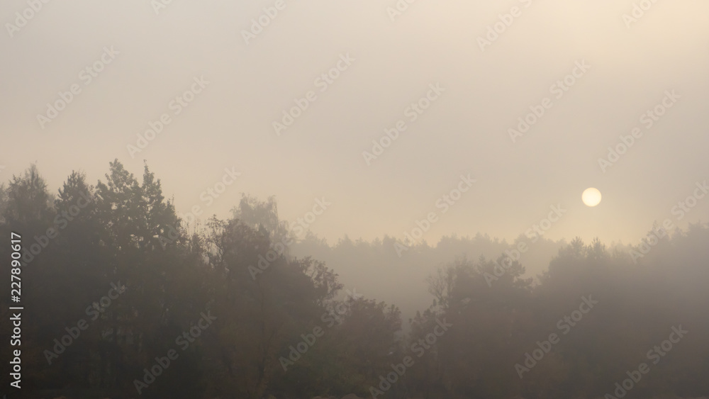 Naklejka premium OLYMPUS DIGITAL CAMERA