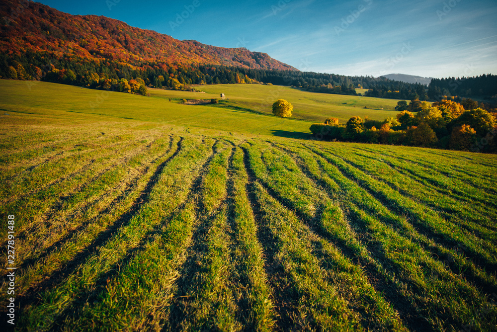 Autumn meadow, warm sunset light. Landscape, background photo