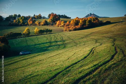 Fototapeta Naklejka Na Ścianę i Meble -  Colorful autumn meadow in sunset light