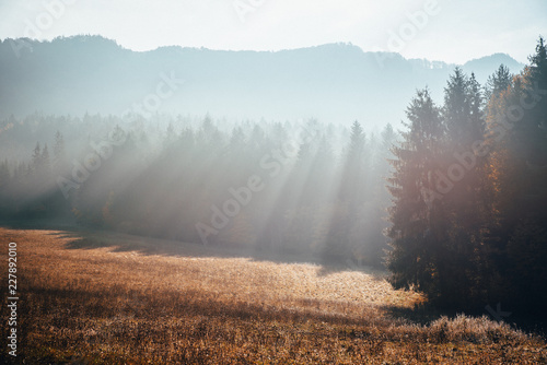 Sun rays in autumn meadow. Background photo, wallpaper