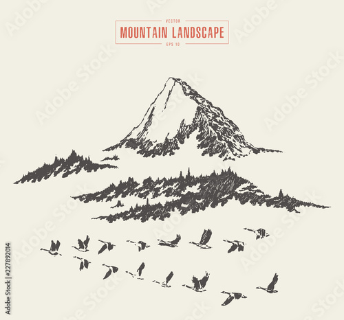Mountain landscape fir forest vector drawn sketch