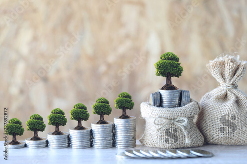 Trees growing on coins money with money bag on wooden background, investment and business concept photo
