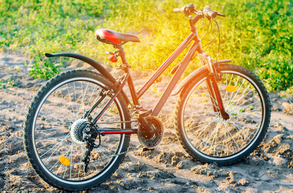 bicycle on nature close up, travel, healthy lifestyle, country walk. sunny day