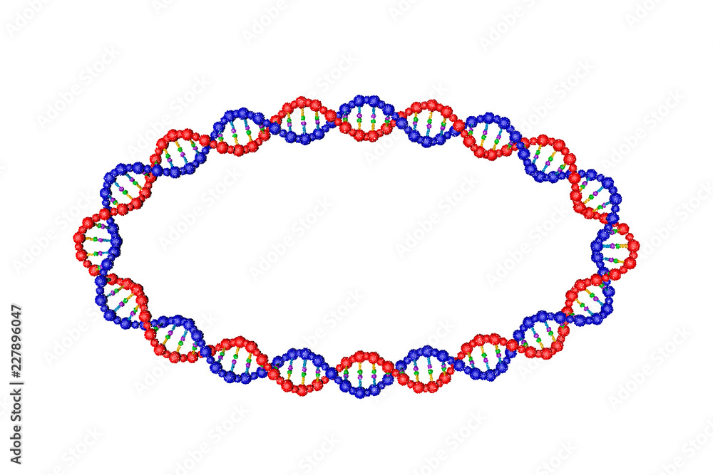 DNA strand in form of oval. Vector illustration. DNA strand in form of oval. Vector illustration.
