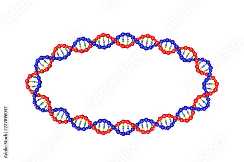 DNA strand in form of oval. Vector illustration.