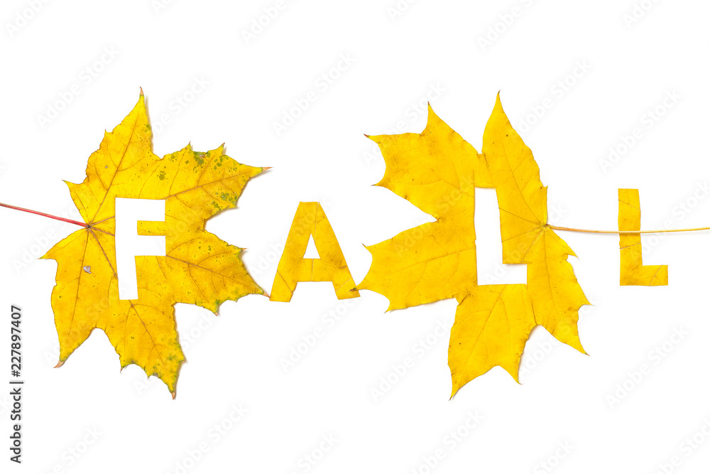 Autumn. Letters carved from wedge leaves Autumn. Letters carved from wedge leaves